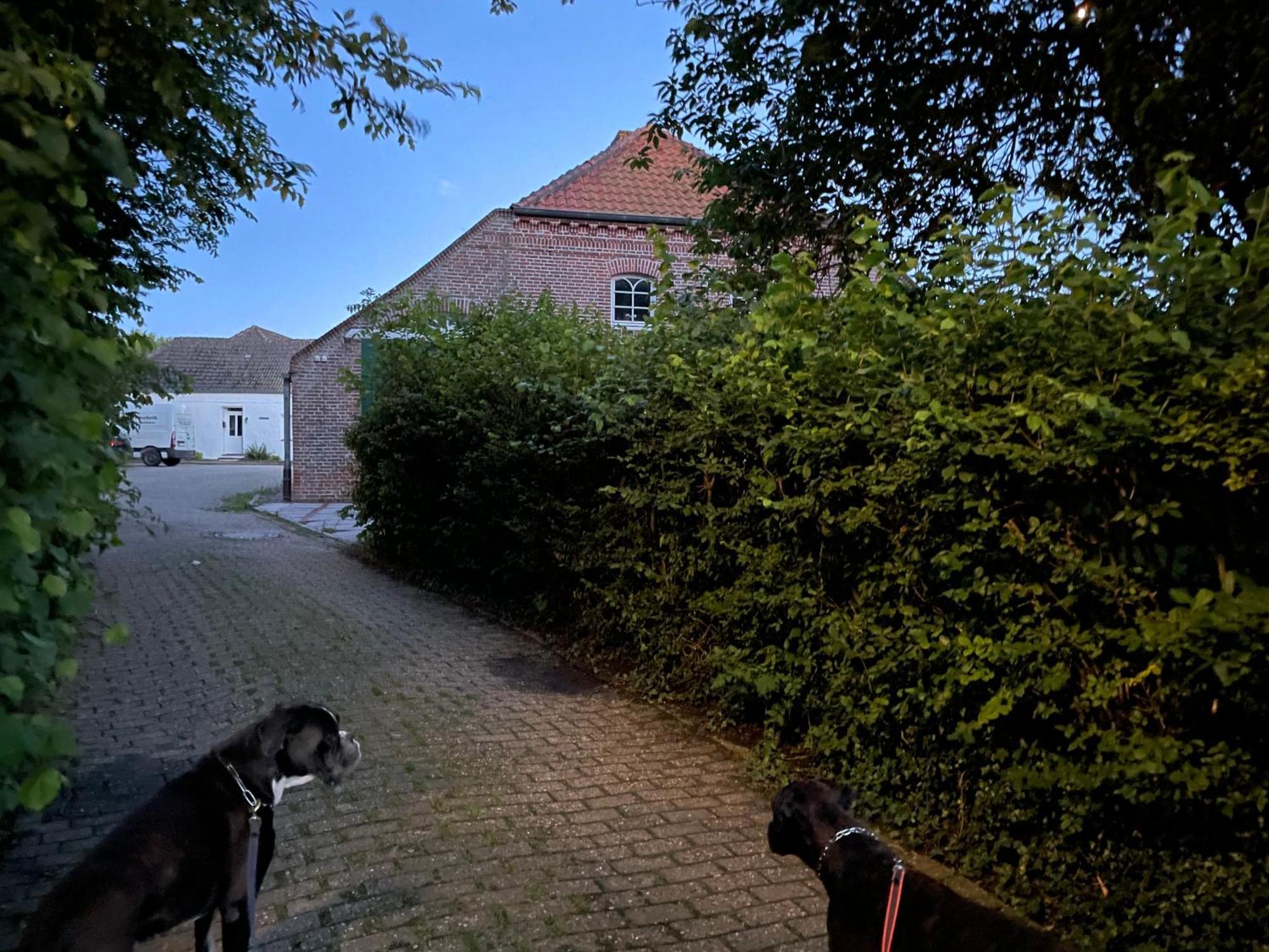 Gulfhaus Alte Meesterei Manslagt 外观 照片